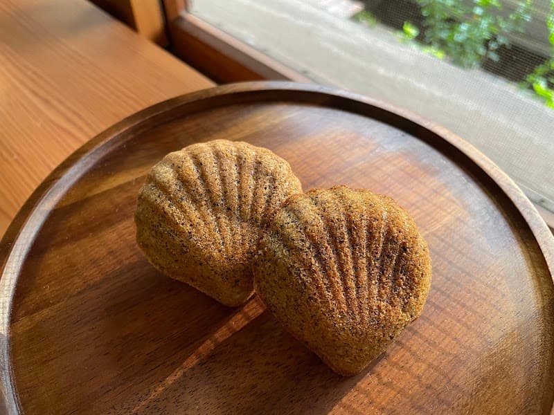 瑪德蓮